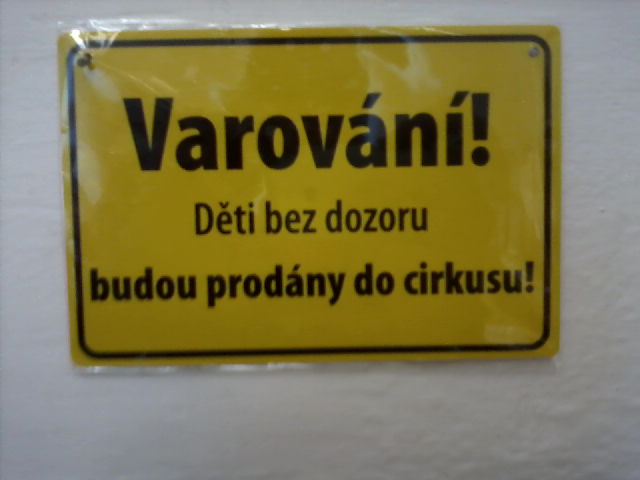 P170112_1100